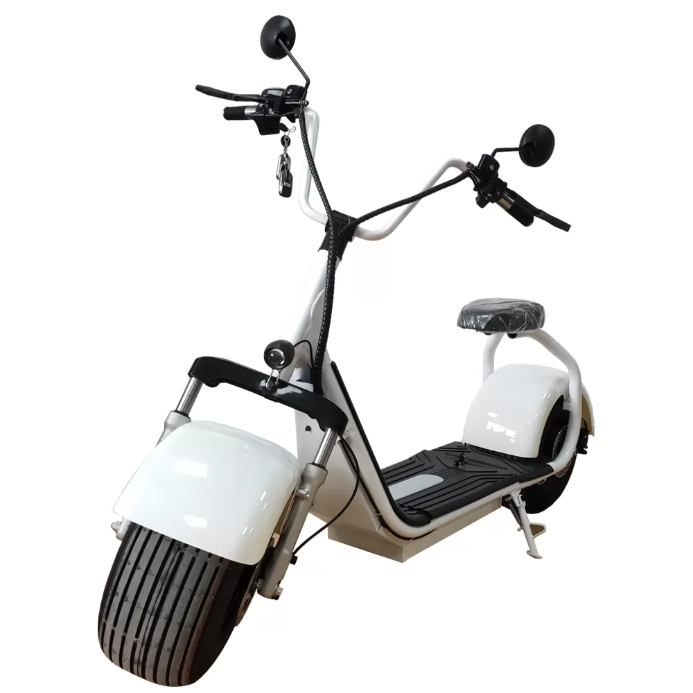 High quality electric scooter citycoco 2000w with CE HS1