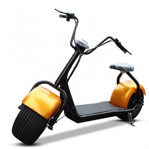 Citycoco Single Seat 1500w Electric scooter with CE HB1