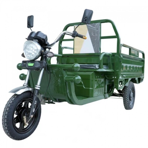 New Style Wholesale Three Wheels Electric Cargo Tricycle for Adults C06